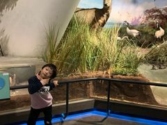 -贝林大翅鲸简餐厅(国家海洋博物馆店)