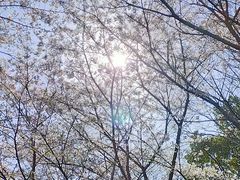-长广溪湿地公园