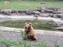 -宁波野生动物园