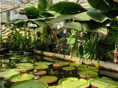 -国家植物园南园