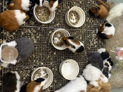 -万达广场(南京江宁店)