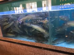 水产区-淘米捞·米汤脆鲩鱼火锅(福田皇岗店)