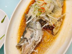 清蒸青斑-海景壹号大酒店(滨湖店)