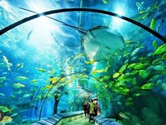 -福州罗源湾海洋世界旅游区