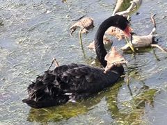 -天津东丽湖风景区