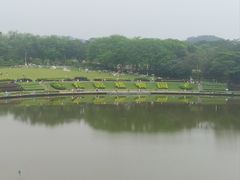 -东莞植物园