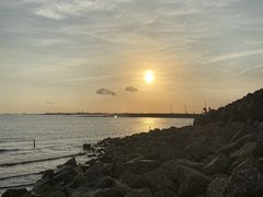 -碧海金沙