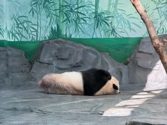 -秦皇岛野生动物园