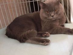 -太原东方动物医院(小店分院)