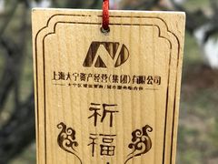 -大宁公园