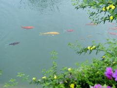 景点-莲峰云海景区