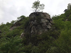 -六里坪国家森林公园