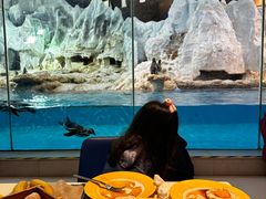 -帝企鹅自助餐厅•儿童岛•真企鹅(长隆企鹅酒店)