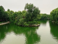 -济南大明湖景区