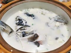 千岛湖浓汤鱼头-全乐鱼馆·淳牌有机鱼直营店