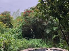 -福州贵安·温泉世界