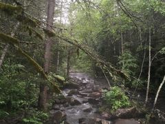 -汤旺河林海奇石景区