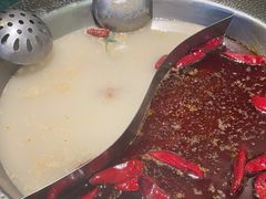 -麻田会 ·鲜活现烹·牛蛙火锅(珠江新城维家思广场店)