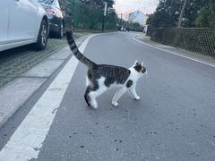 -树山生态村