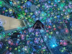 -星空失恋博物馆(北京路旗舰店)
