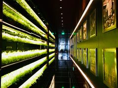 大堂-L'ATELIER de Joel Robuchon(外滩18号店)