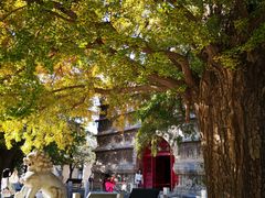 -北京石刻艺术博物馆(五塔寺)
