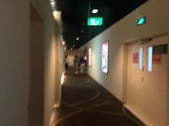 -嘉华国际影城(学清路店)