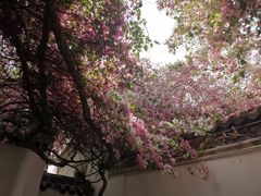 -深圳国际园林花卉博览园