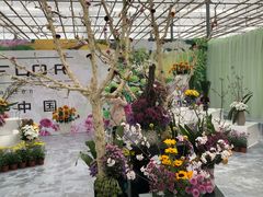 -上海鲜花港
