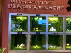 -芸山季·云南野生菌火锅(宝能环球汇店)