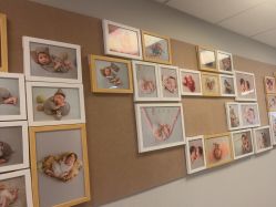 -杭州贝瑞斯美华妇儿医院·早孕·产检·儿科