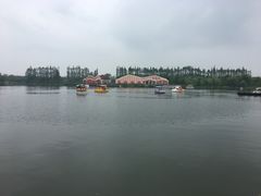 -上海长兴岛郊野公园