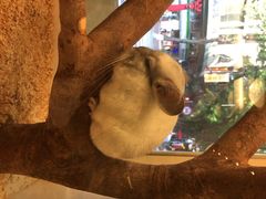 龙猫仔乐园(惠福东路店)-龙猫仔乐园(惠福东路店)