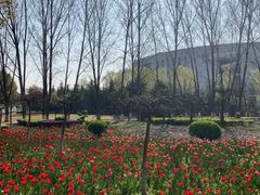 -南京信息职业技术学院