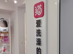 -爱洗澡的猫(望京店)