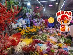 -花鸟鱼虫鲜花绿植市场(玉泉路店)
