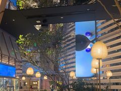 -桂满陇·海市蜃楼·黑金(国金店)