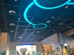 -陕西自然博物馆