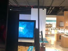 -sundanpulse顺电·脉(海岸城购物中心店)