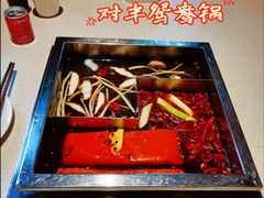 对半锅-红鼎坊·老成都火锅(新南门店)