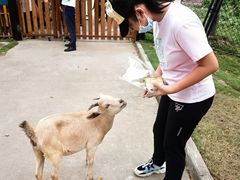 -太阳岛度假酒店