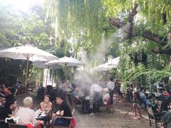 -Fern Forest Cafe