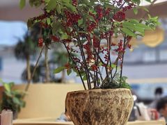 -东北风(鄞州万达店)