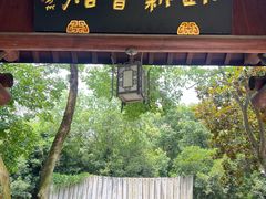 -白马涧龙池景区