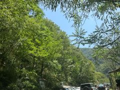 -秦岭风景区