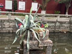 -南岳衡山风景名胜区-南岳大庙