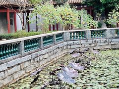 -顺峰山公园