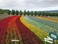 -富田农场