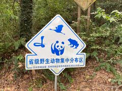 -苏州上方山国家森林公园
