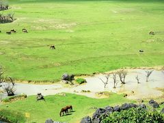 -靖西鹅泉风景区